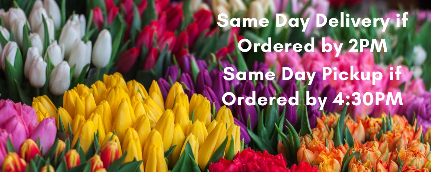 Flower Delivery to Redmond by Bear Creek Florist